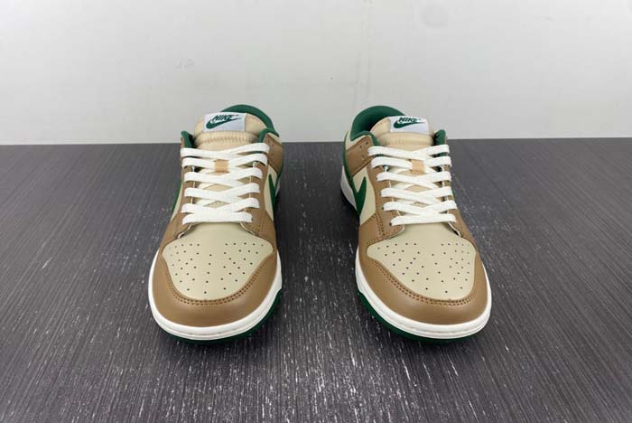 Nike Dunk Low Retro  FB7160-231