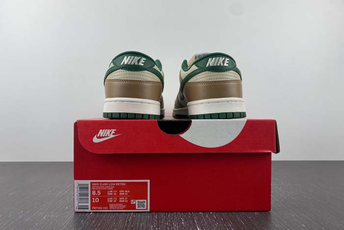 Nike Dunk Low Retro  FB7160-231