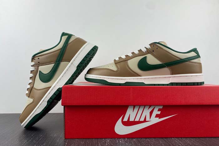 Nike Dunk Low Retro  FB7160-231