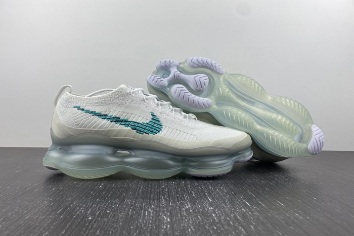 Nike Air Max Scorpion  DJ4701-100
