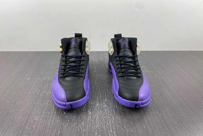 Nike Air Jordan 12 CT8013-057
