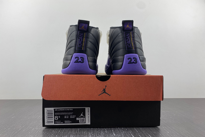 Nike Air Jordan 12 CT8013-057