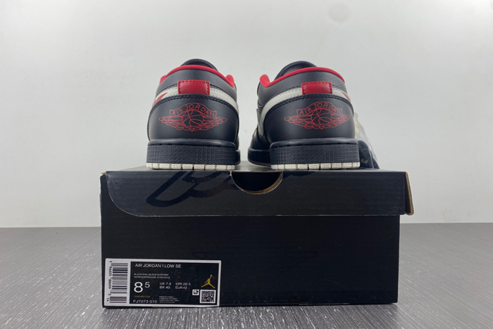NIKE Jordan 1 Low AJ1 FJ7073-010