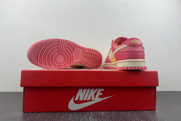 NIKE DUNK LOW (GS) DH9765-200