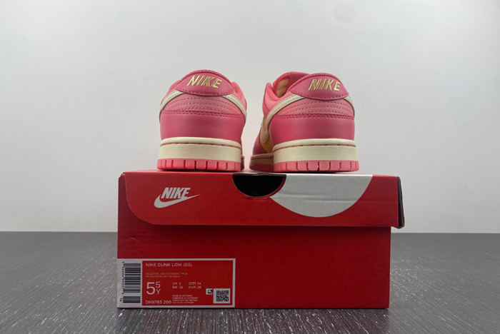 NIKE DUNK LOW (GS) DH9765-200
