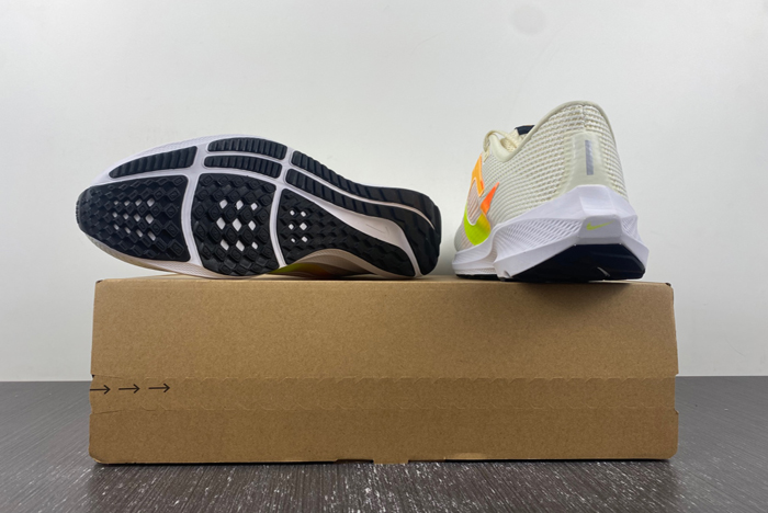 NIKE  PEGASUS  DV3853-101