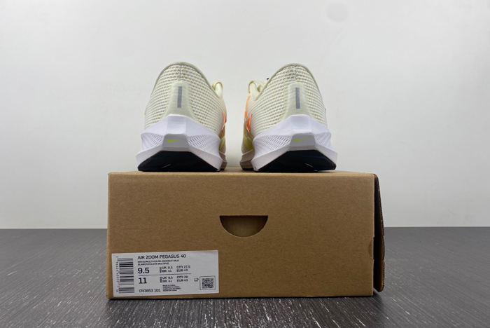 NIKE  PEGASUS  DV3853-101