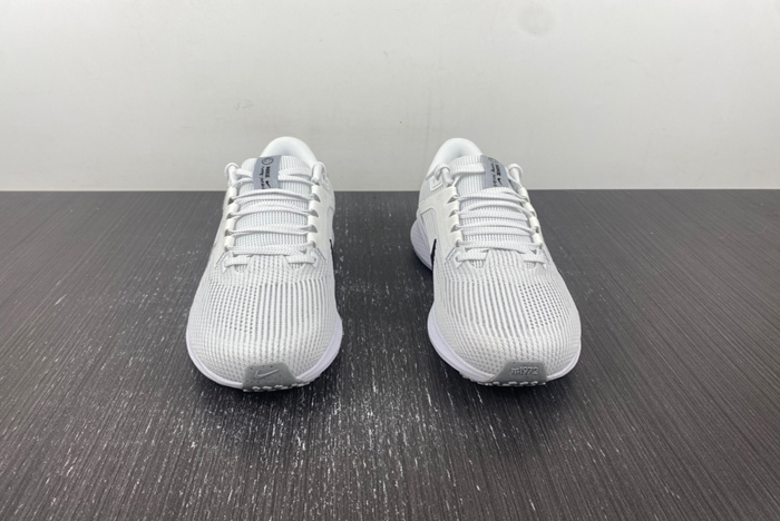 NIKE  PEGASUS DV3853-102