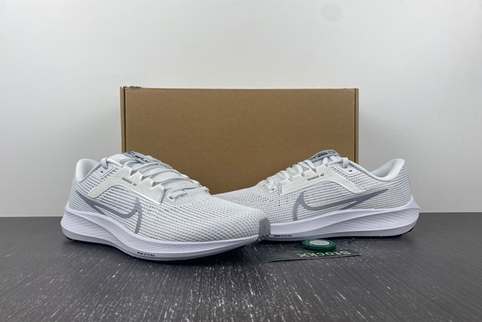 NIKE  PEGASUS DV3853-102