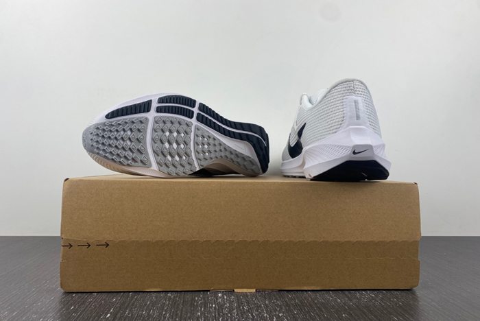 NIKE  PEGASUS DV3853-102
