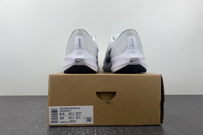 NIKE  PEGASUS DV3853-102