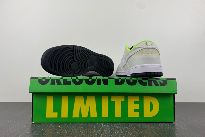 Dunk Low Oregon PE “Ducks of a Feather”  FQ7260-001
