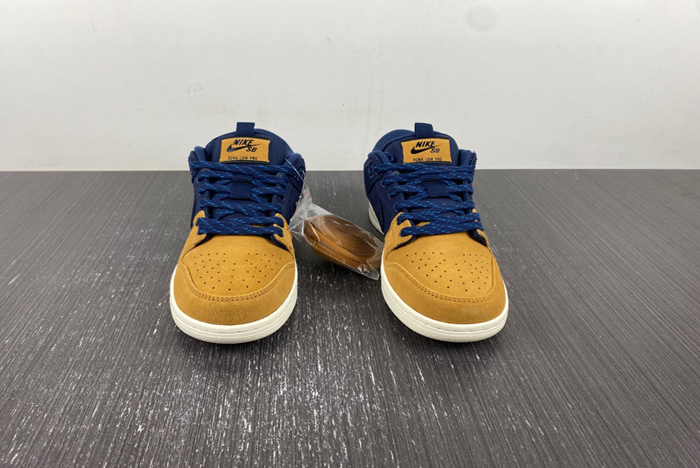 Nike SB Dunk Low Pro PRM DX6775-400