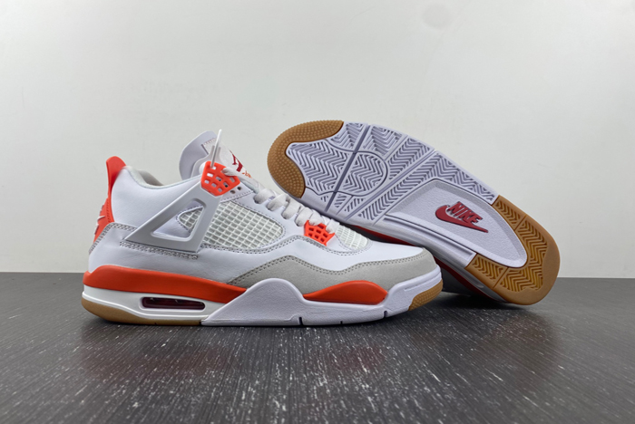 Nike SB x Air Jordan 4 DR5415-108