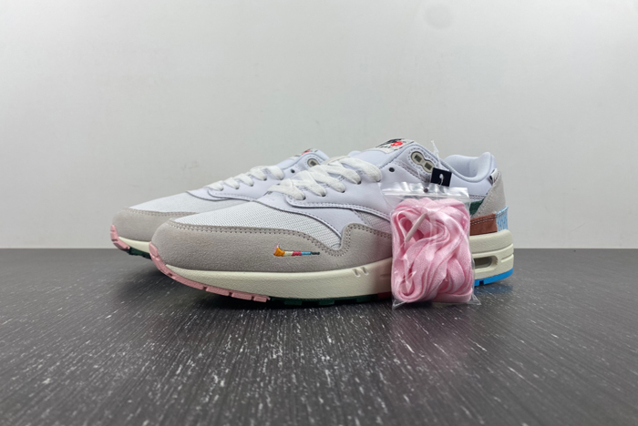 Nike Air Max 1 “All Petals United FQ0256-131