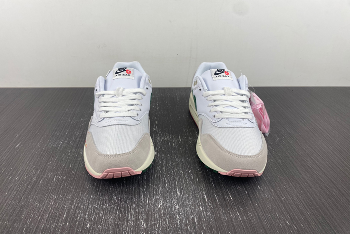 Nike Air Max 1 “All Petals United FQ0256-131