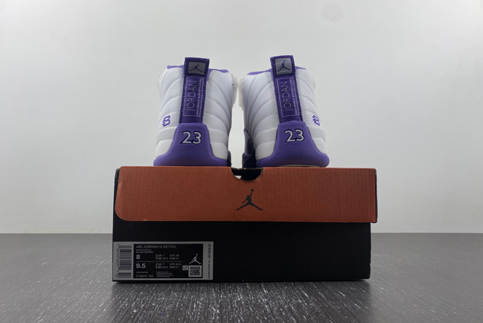 Nike Air Jordan 12  CT8013-150