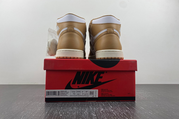 Air Jordan 1 High OG WMNS “Praline”  FN6622-201