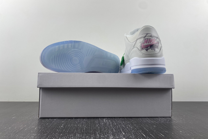 Air Jordan 3  FN0344-666