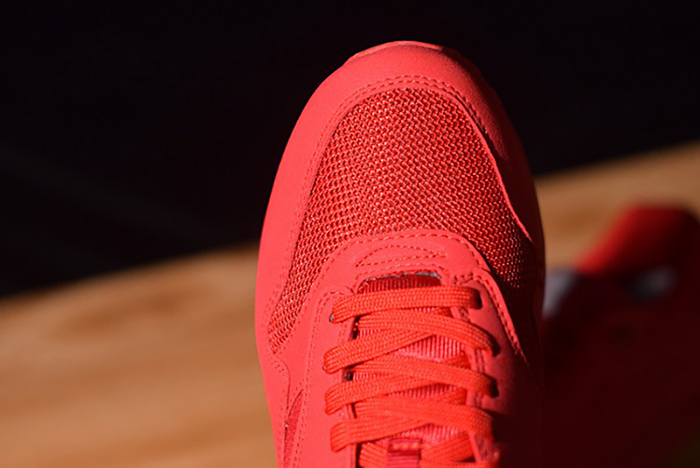 Air Max 1 Tonal Red Blue 875844-600