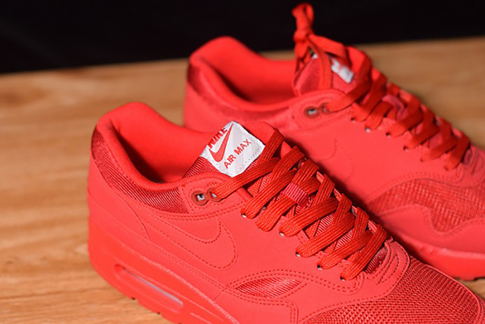 Air Max 1 Tonal Red Blue 875844-600