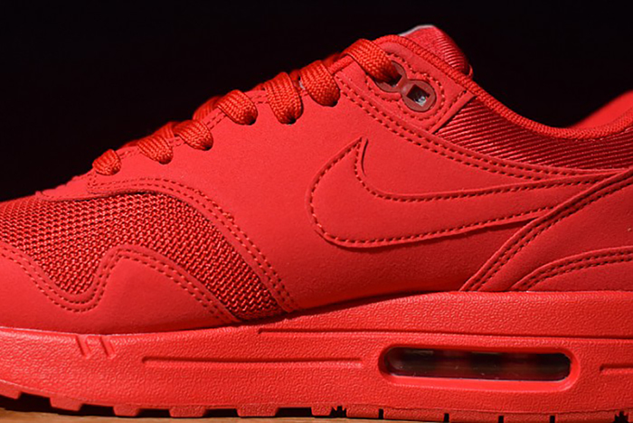 Air Max 1 Tonal Red Blue 875844-600